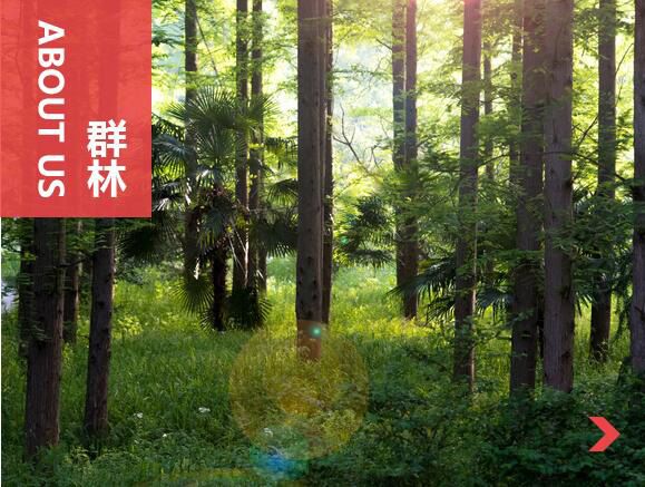 什么叫刨花板？